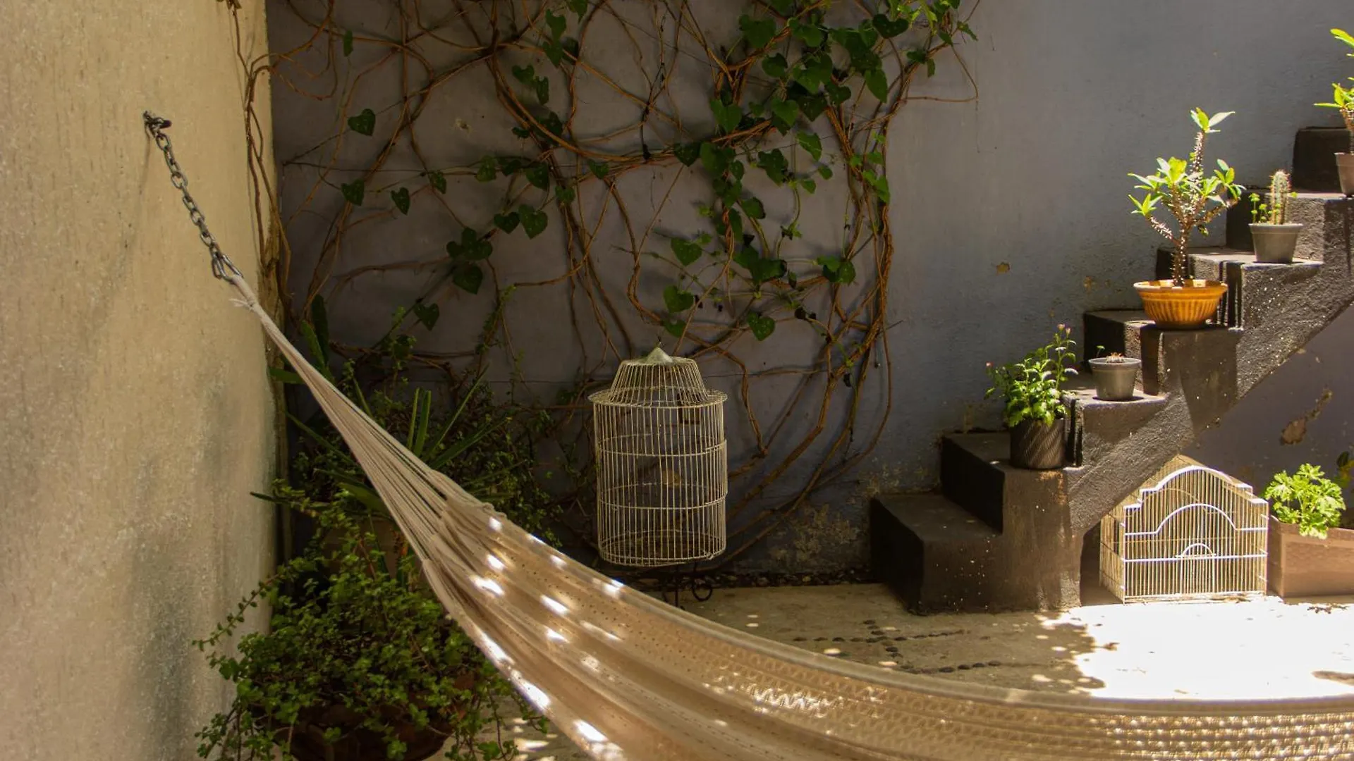 El Pinche Hostal Guadalajara