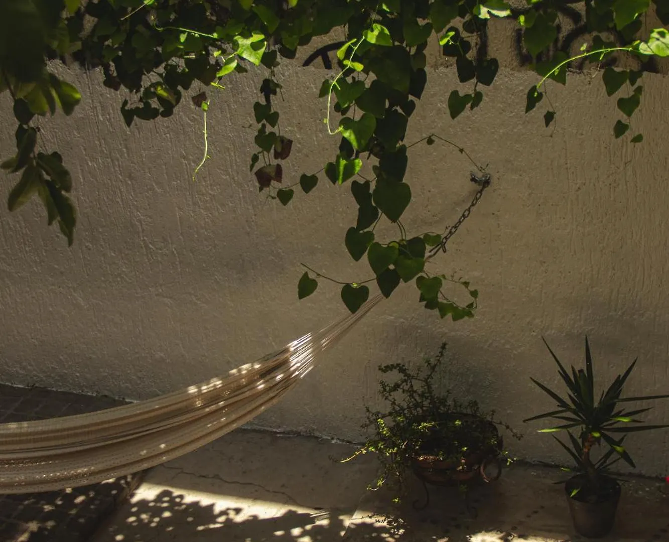 El Pinche Hostal Guadalajara Pensión